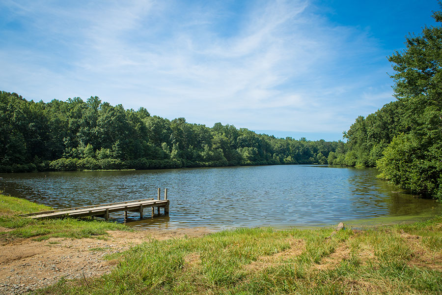 moving services in powhatan va